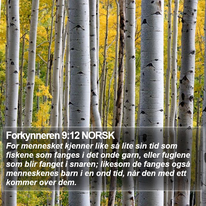 Forkynneren 9:12 NORSK Bible Study