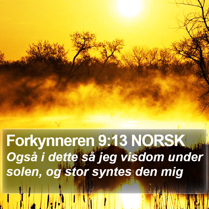 Forkynneren 9:13 NORSK Bible Study