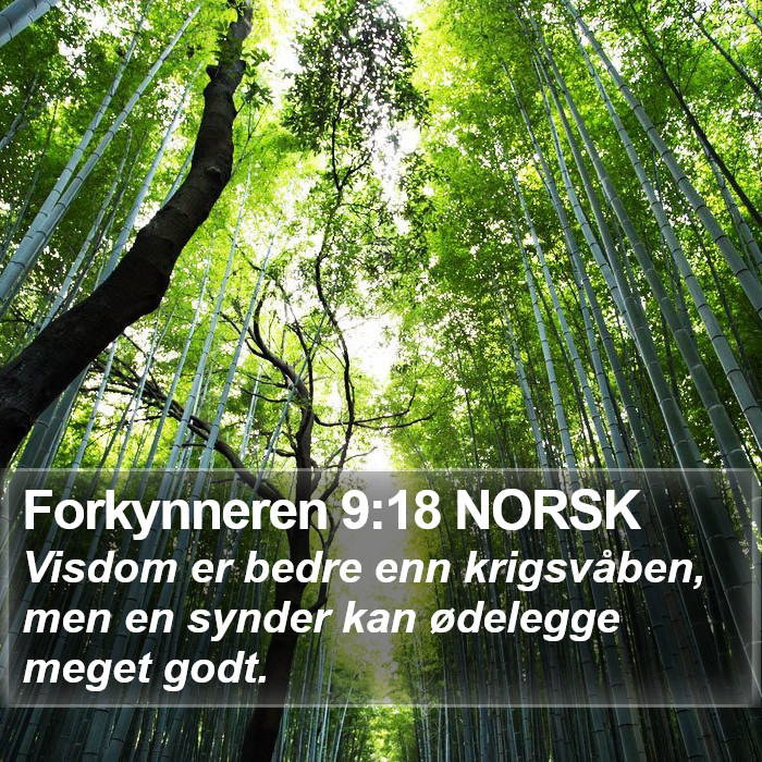 Forkynneren 9:18 NORSK Bible Study