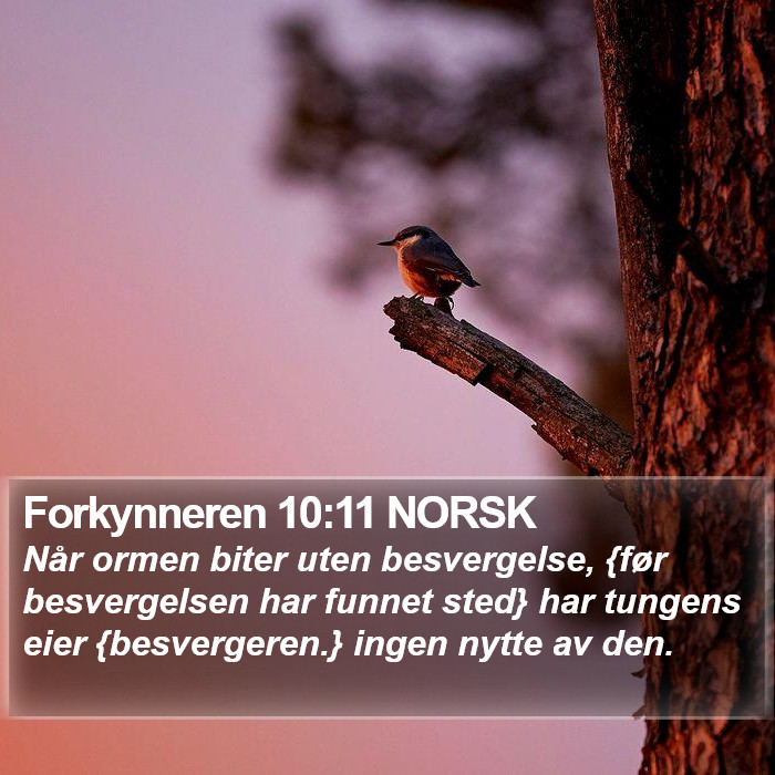 Forkynneren 10:11 NORSK Bible Study