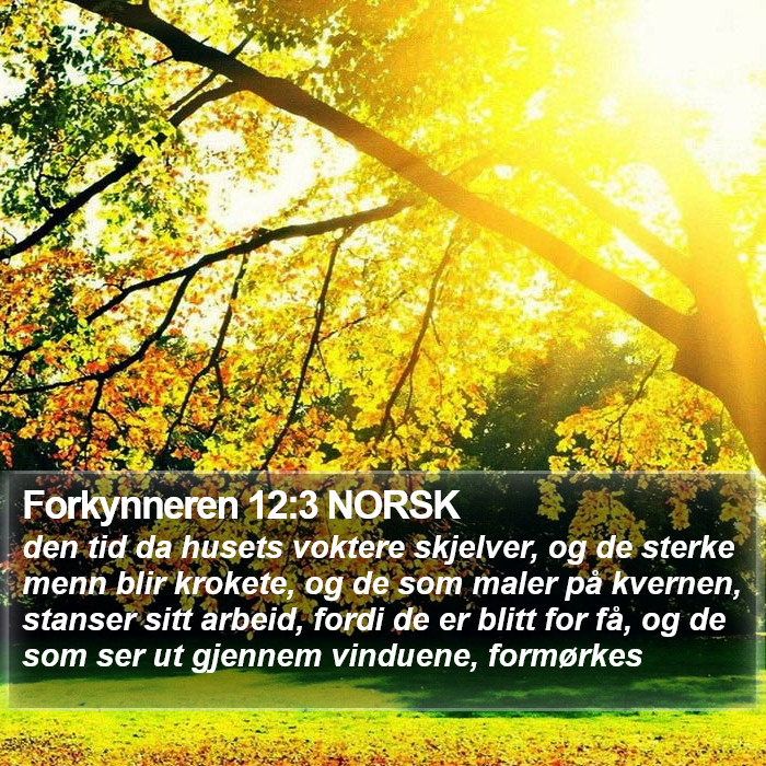 Forkynneren 12:3 NORSK Bible Study