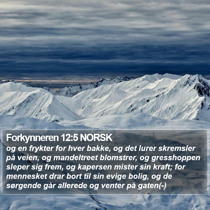 Forkynneren 12:5 NORSK Bible Study