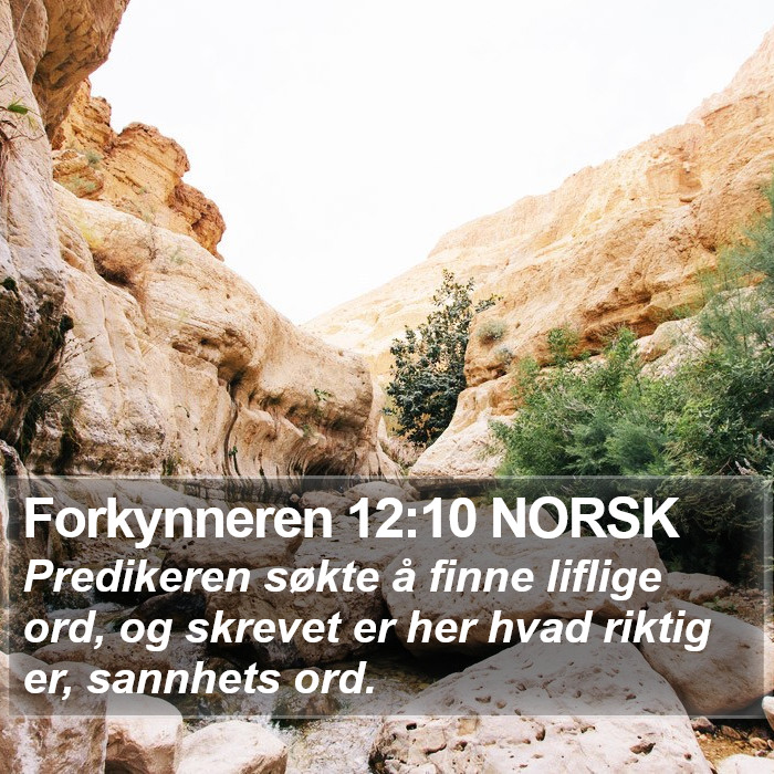 Forkynneren 12:10 NORSK Bible Study