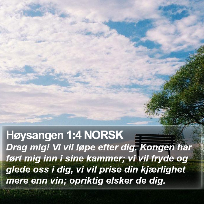 Høysangen 1:4 NORSK Bible Study
