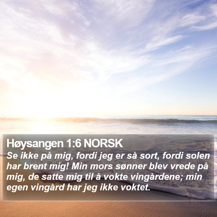 Høysangen 1:6 NORSK Bible Study