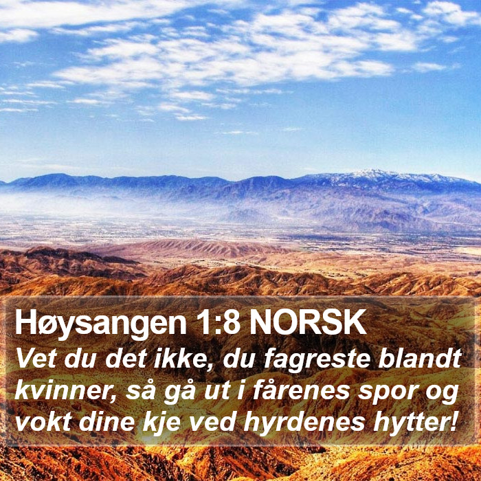 Høysangen 1:8 NORSK Bible Study