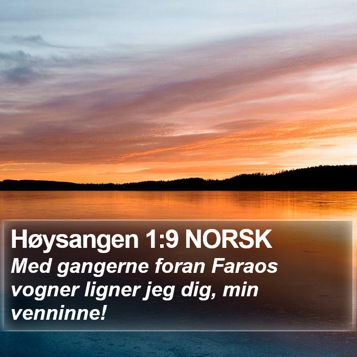 Høysangen 1:9 NORSK Bible Study