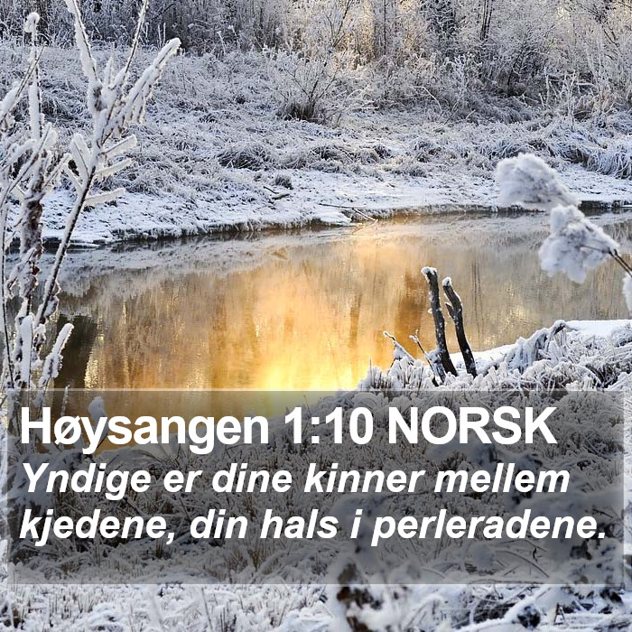 Høysangen 1:10 NORSK Bible Study