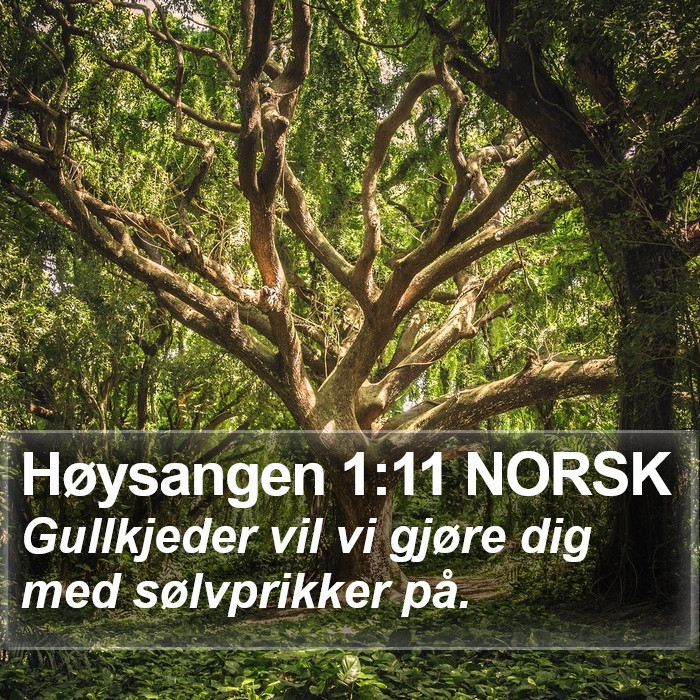 Høysangen 1:11 NORSK Bible Study