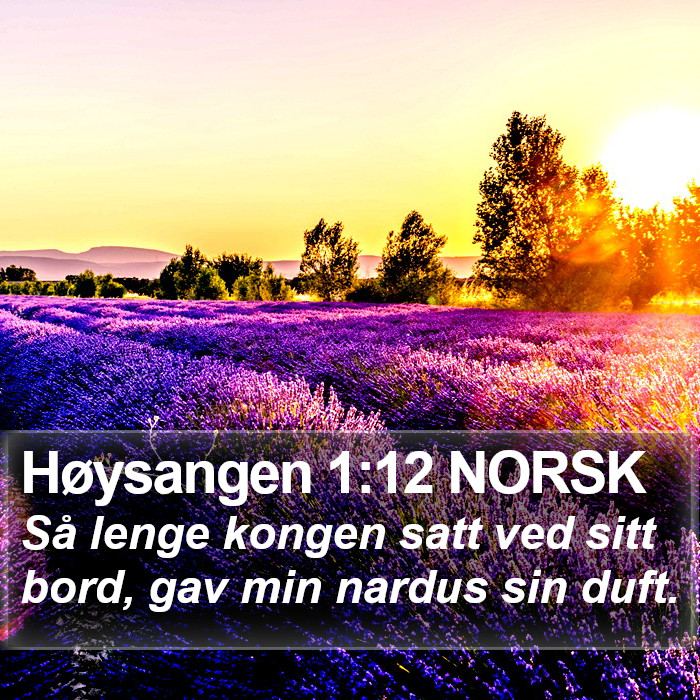 Høysangen 1:12 NORSK Bible Study