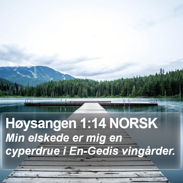 Høysangen 1:14 NORSK Bible Study