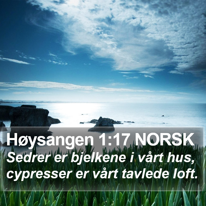 Høysangen 1:17 NORSK Bible Study