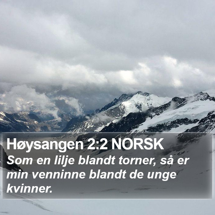 Høysangen 2:2 NORSK Bible Study