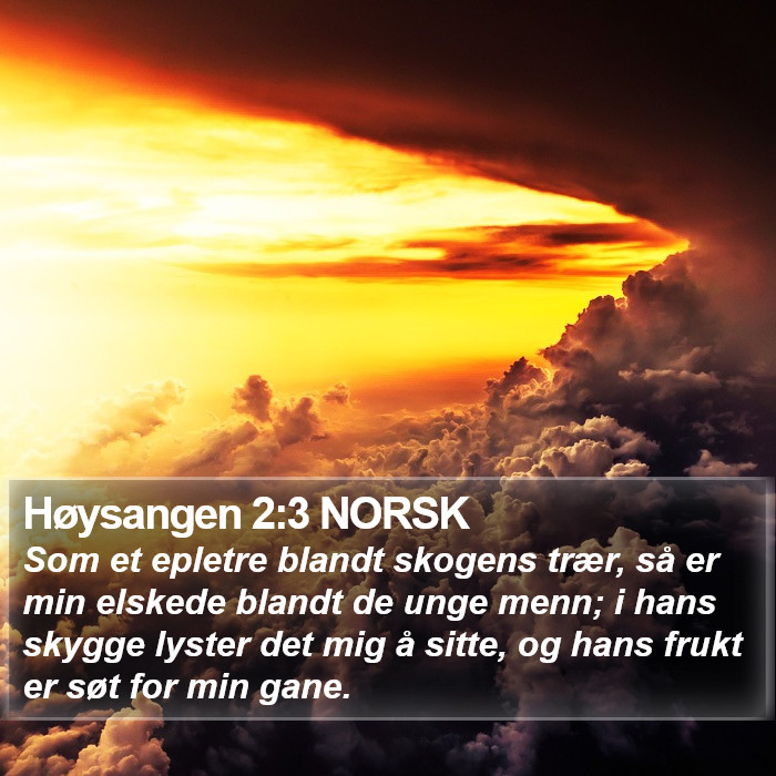 Høysangen 2:3 NORSK Bible Study