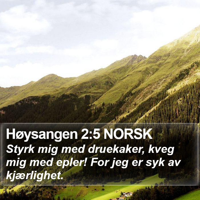 Høysangen 2:5 NORSK Bible Study