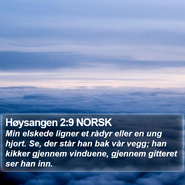 Høysangen 2:9 NORSK Bible Study