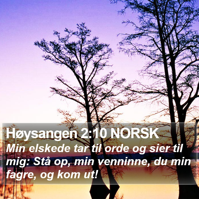 Høysangen 2:10 NORSK Bible Study
