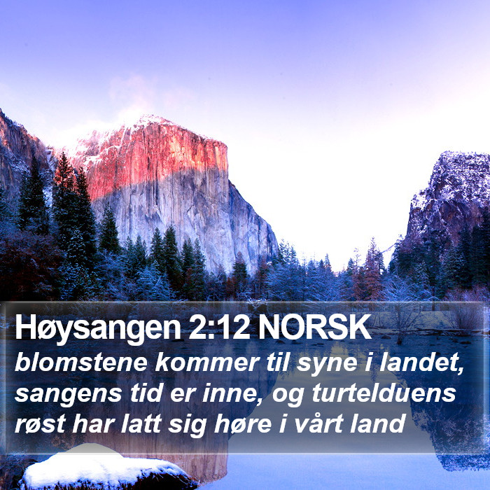 Høysangen 2:12 NORSK Bible Study