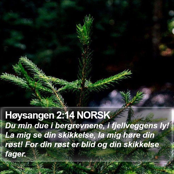 Høysangen 2:14 NORSK Bible Study
