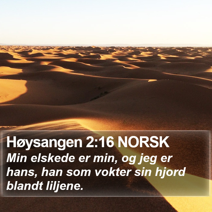 Høysangen 2:16 NORSK Bible Study