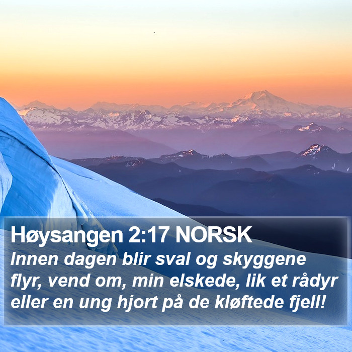 Høysangen 2:17 NORSK Bible Study