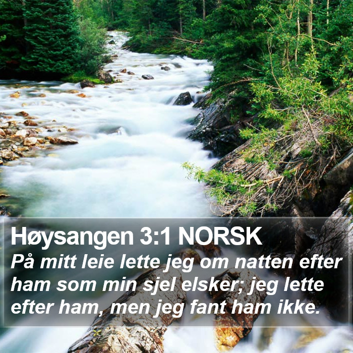 Høysangen 3:1 NORSK Bible Study