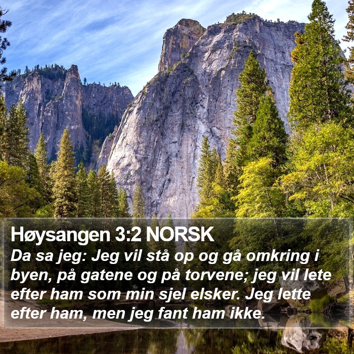 Høysangen 3:2 NORSK Bible Study