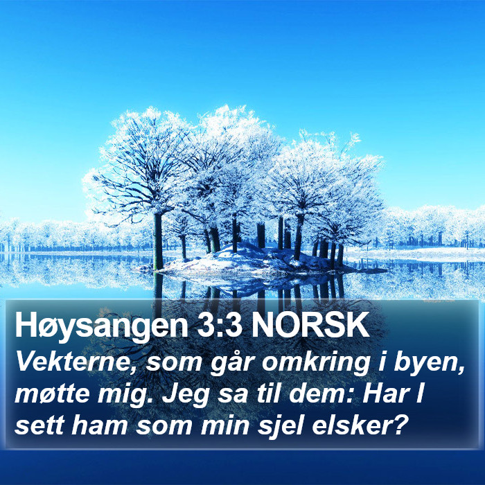 Høysangen 3:3 NORSK Bible Study