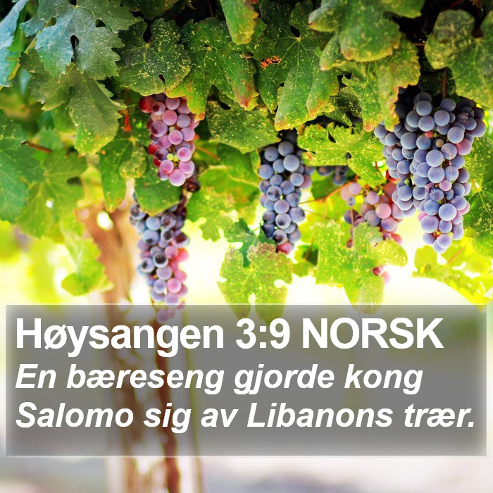 Høysangen 3:9 NORSK Bible Study