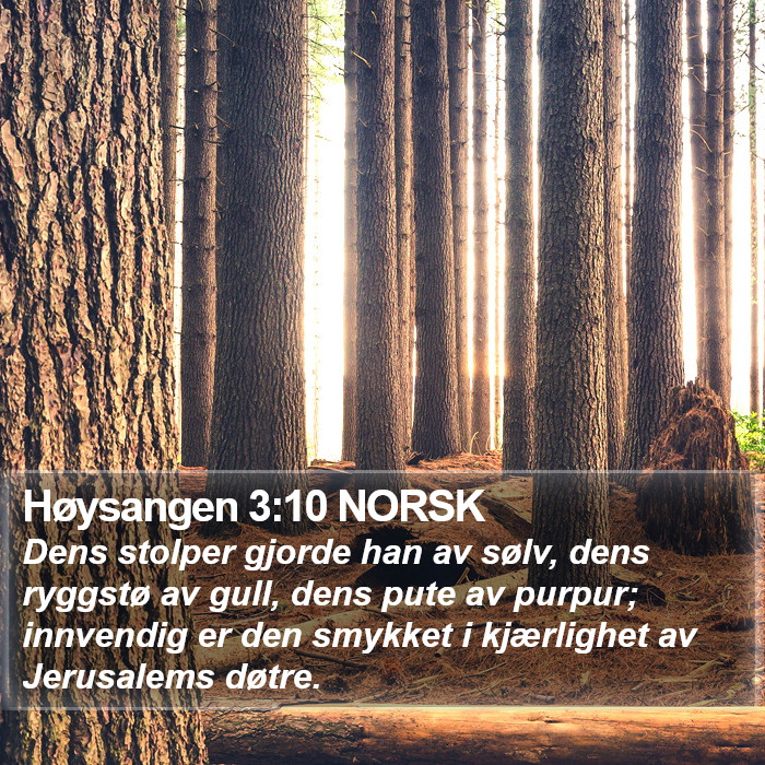 Høysangen 3:10 NORSK Bible Study