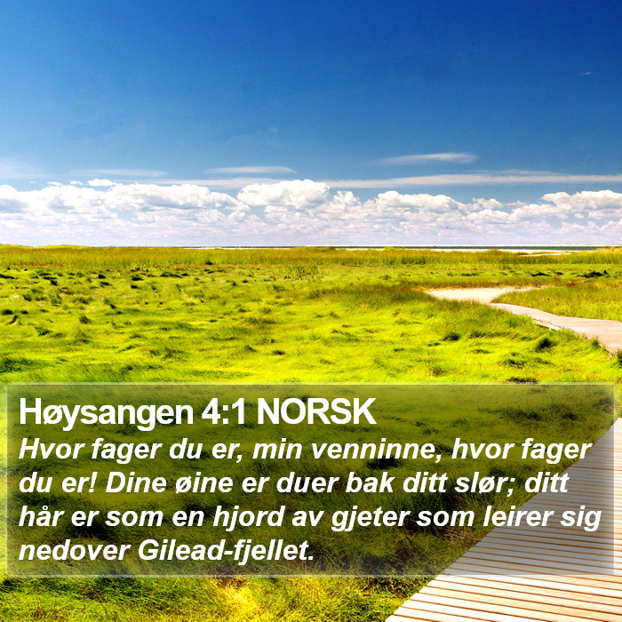 Høysangen 4:1 NORSK Bible Study