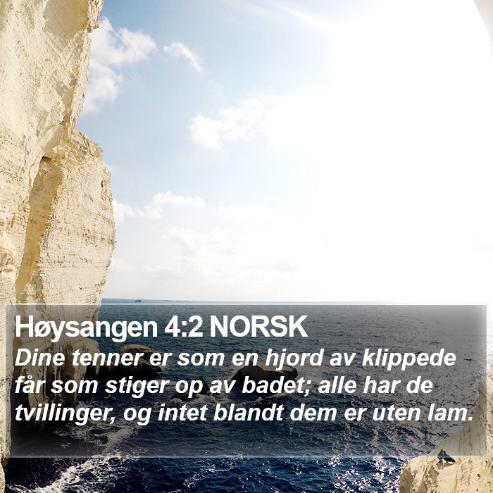 Høysangen 4:2 NORSK Bible Study