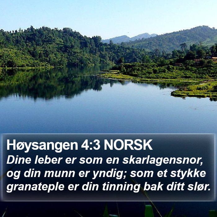 Høysangen 4:3 NORSK Bible Study