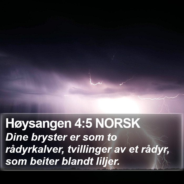 Høysangen 4:5 NORSK Bible Study