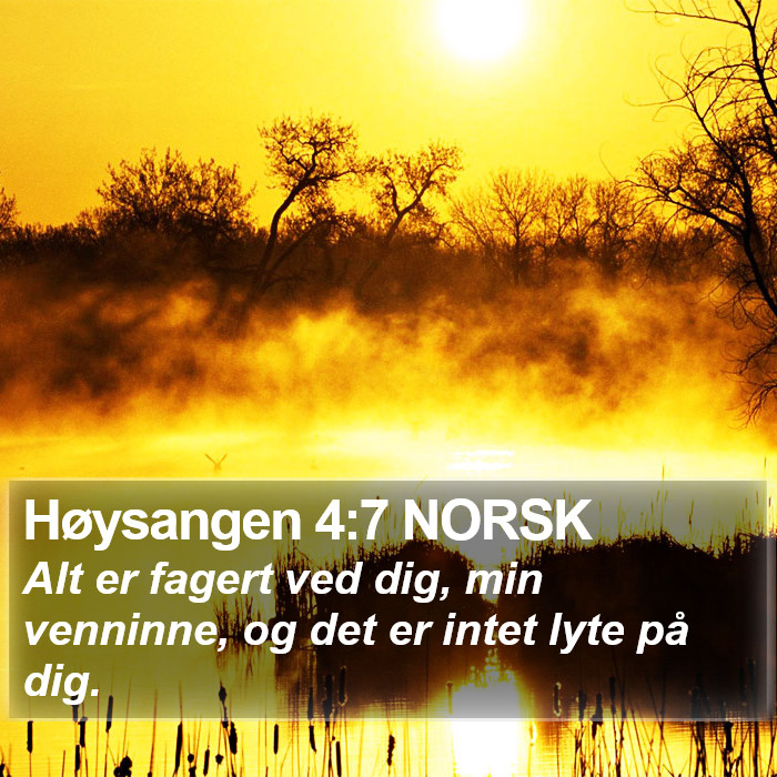 Høysangen 4:7 NORSK Bible Study