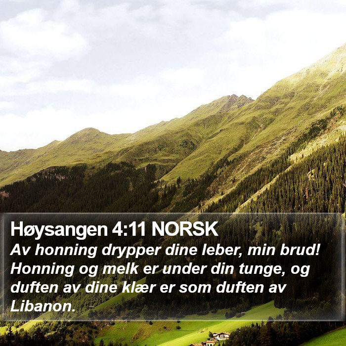 Høysangen 4:11 NORSK Bible Study