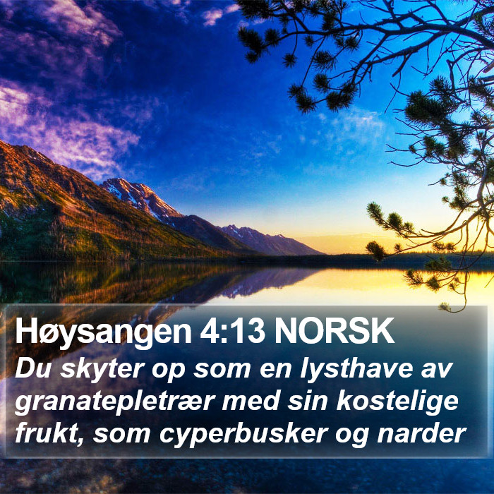 Høysangen 4:13 NORSK Bible Study