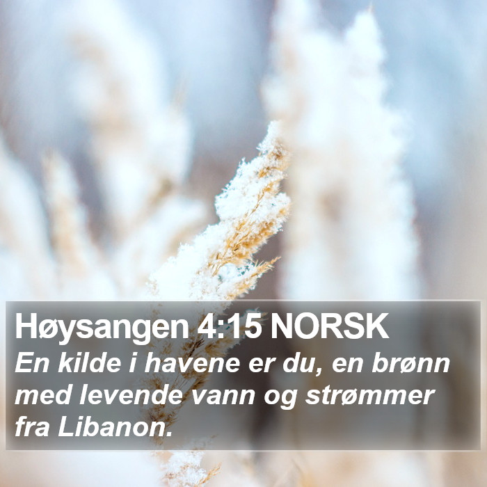 Høysangen 4:15 NORSK Bible Study