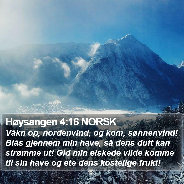 Høysangen 4:16 NORSK Bible Study