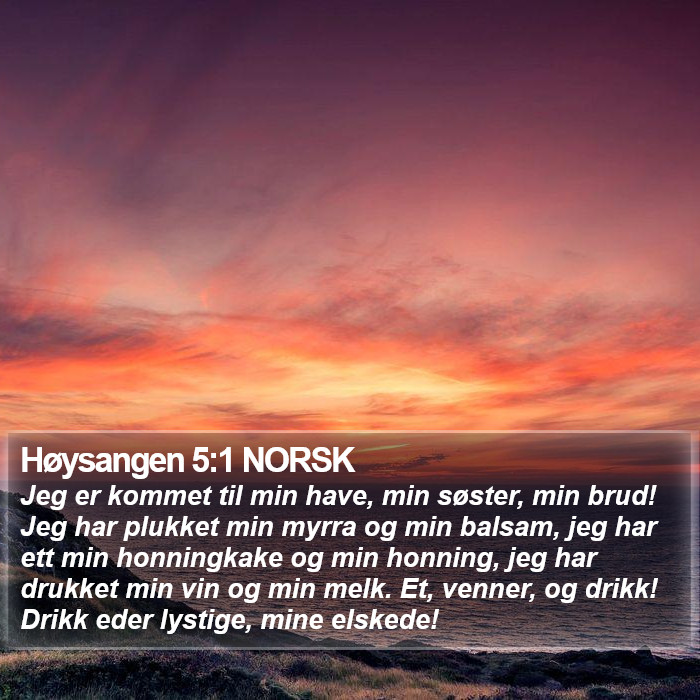 Høysangen 5:1 NORSK Bible Study