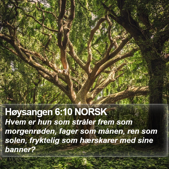 Høysangen 6:10 NORSK Bible Study