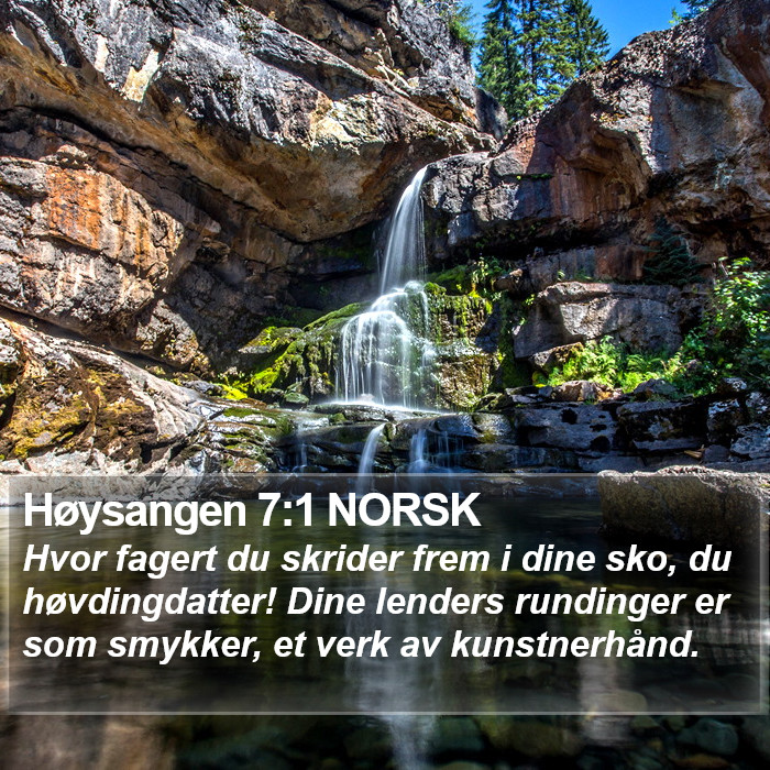 Høysangen 7:1 NORSK Bible Study