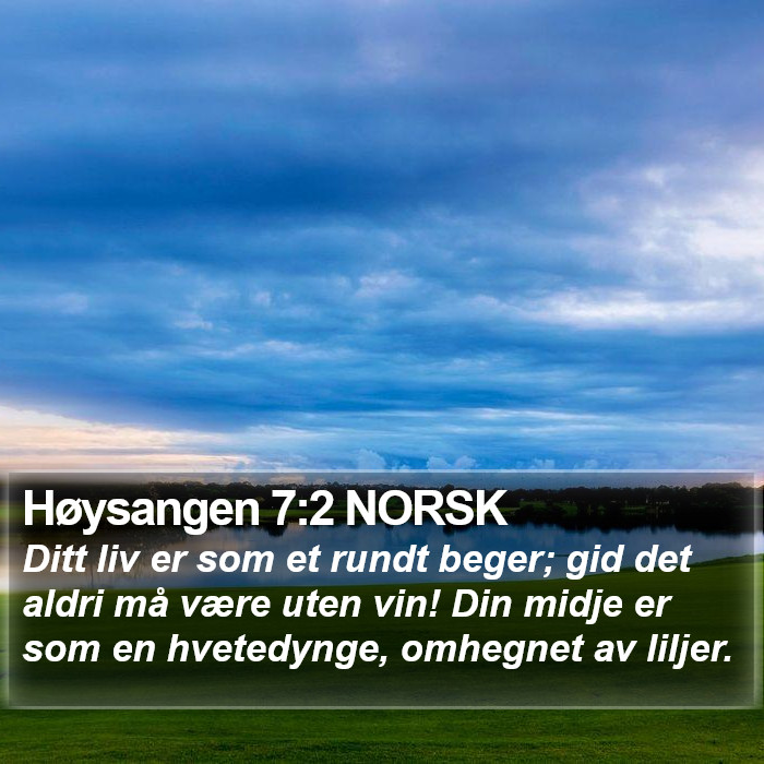 Høysangen 7:2 NORSK Bible Study