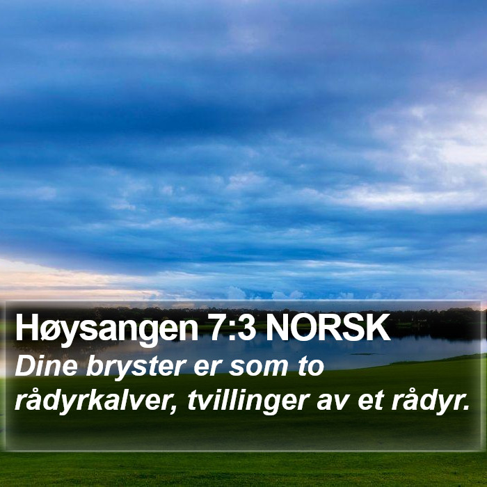 Høysangen 7:3 NORSK Bible Study