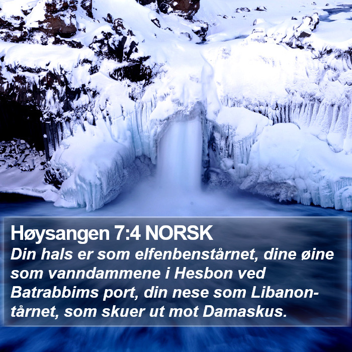 Høysangen 7:4 NORSK Bible Study
