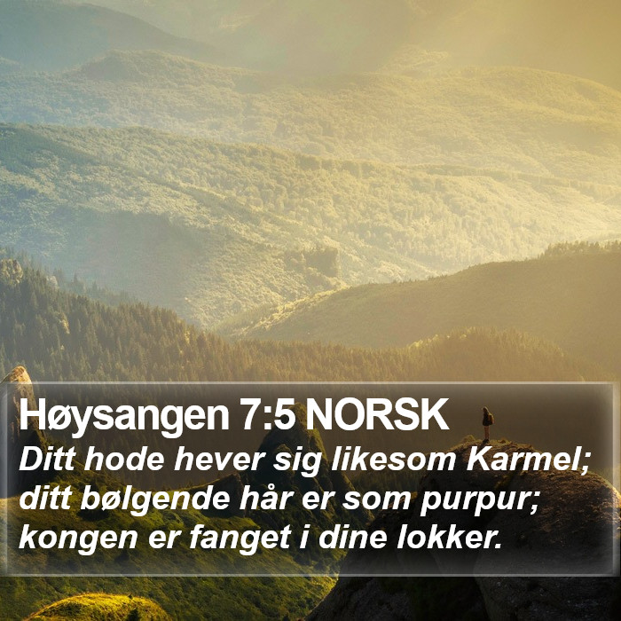 Høysangen 7:5 NORSK Bible Study