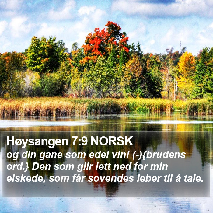 Høysangen 7:9 NORSK Bible Study