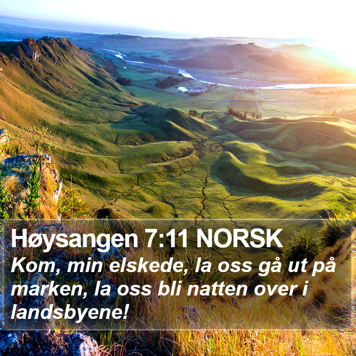 Høysangen 7:11 NORSK Bible Study