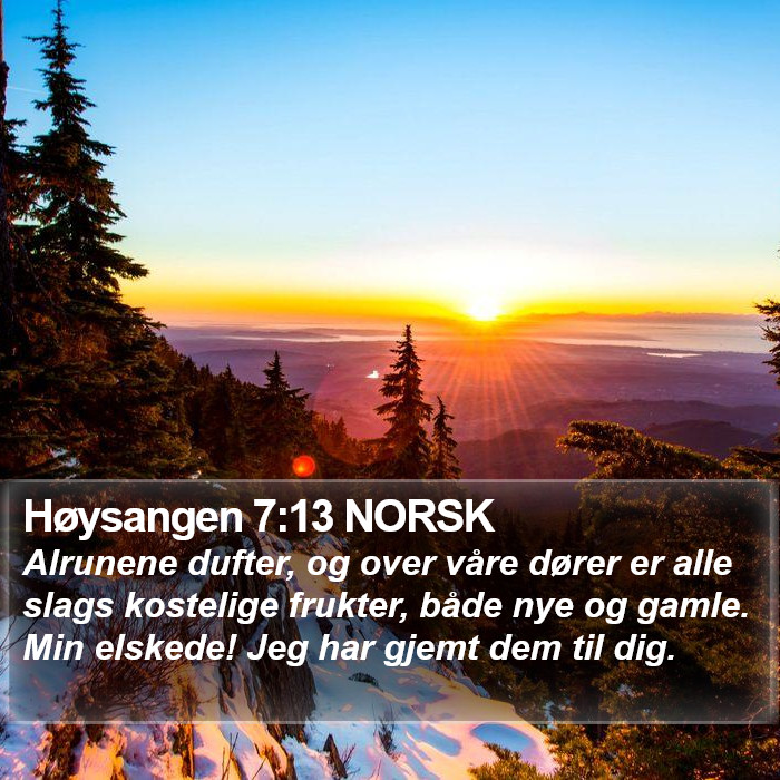 Høysangen 7:13 NORSK Bible Study