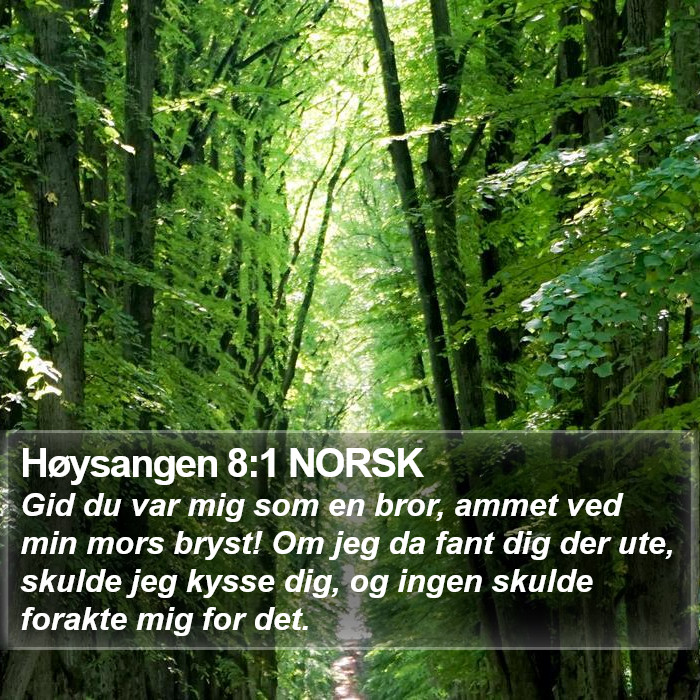 Høysangen 8:1 NORSK Bible Study